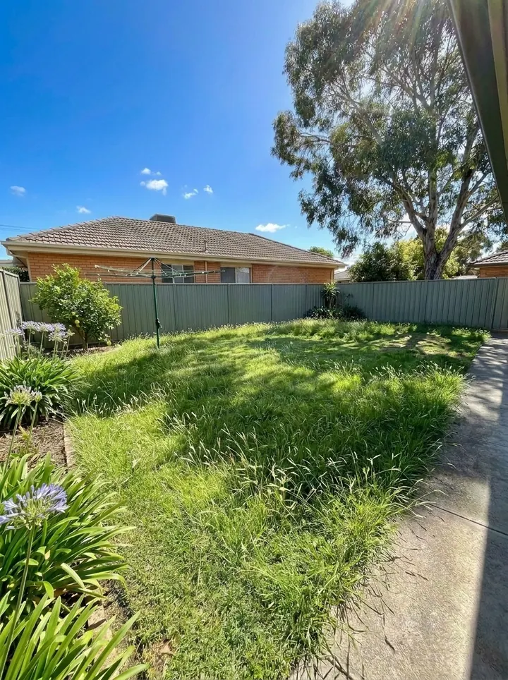 A back yard with overgrown spring grass, before the mow