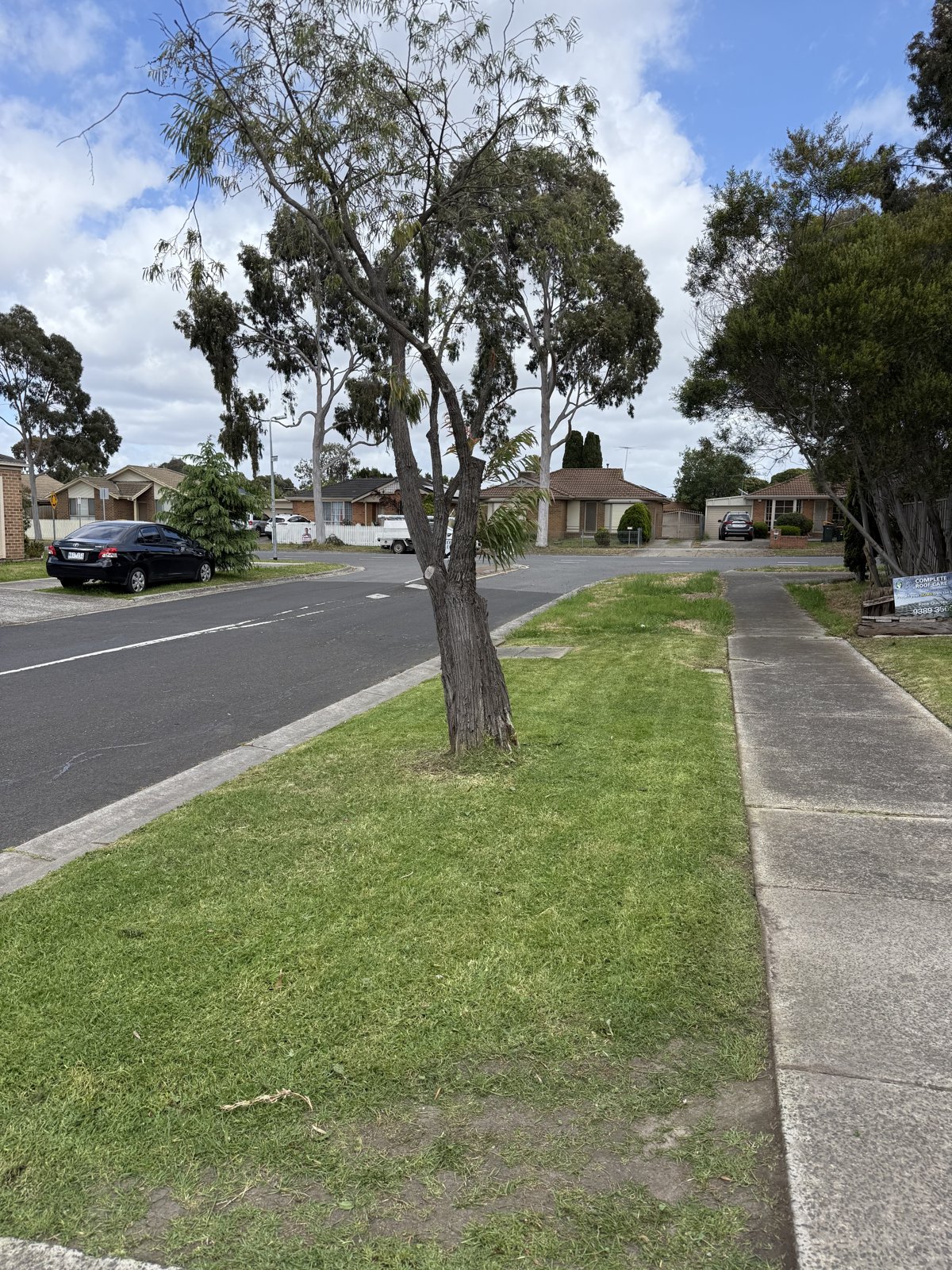 183 m² lawn in Mill Park mowed by Whittlesea Mowing Pty Ltd