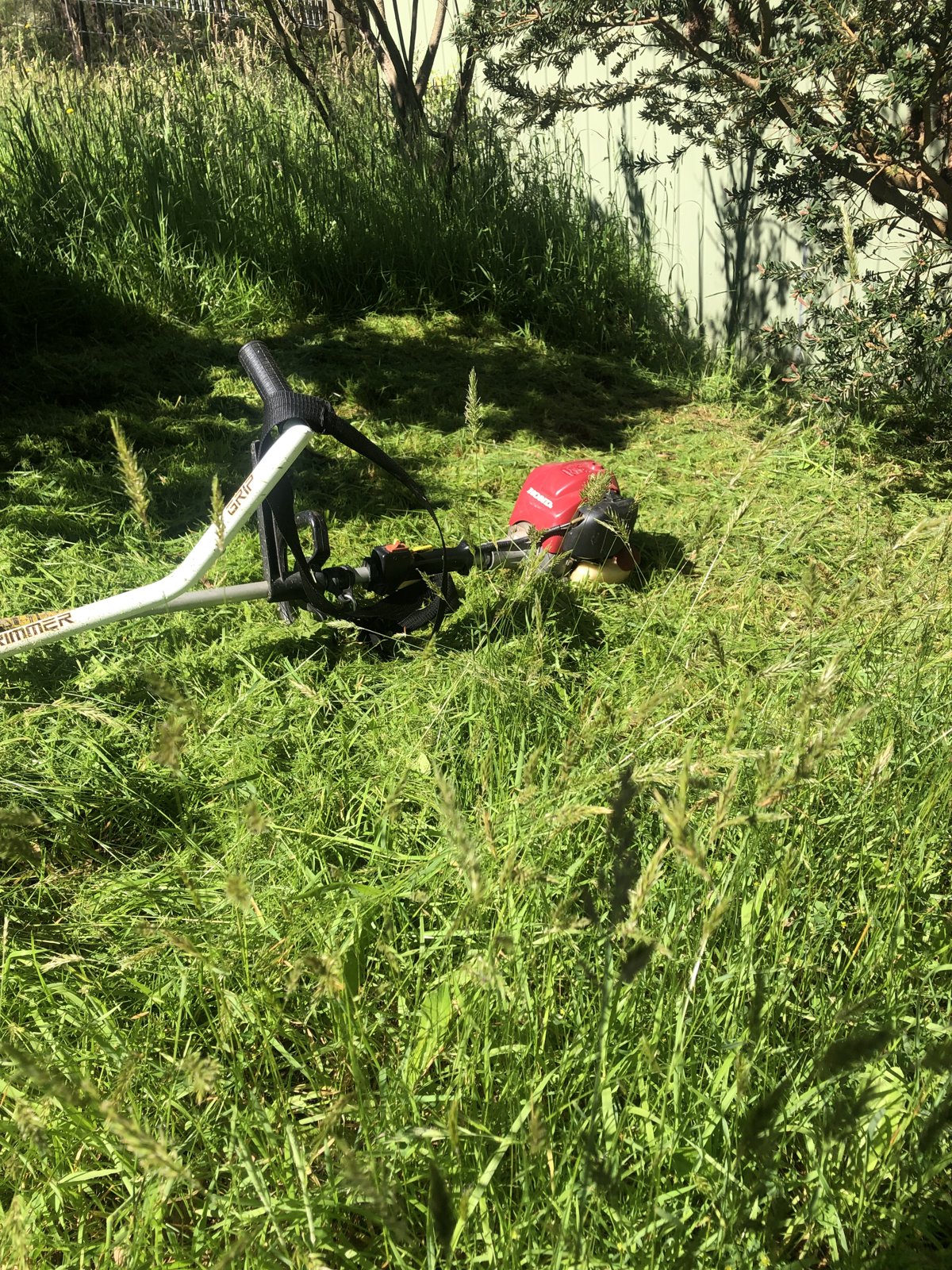 Brush cutting along the fence line