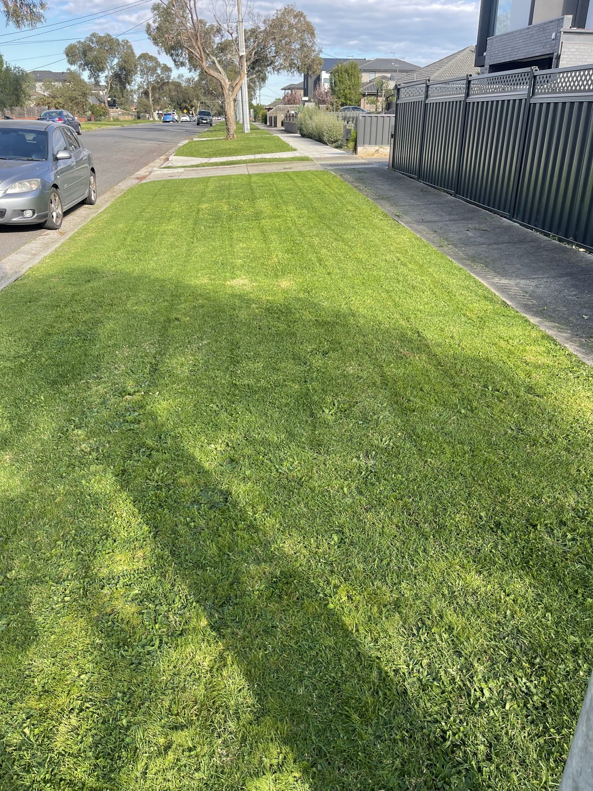 Lawn by Omnibid Lawns