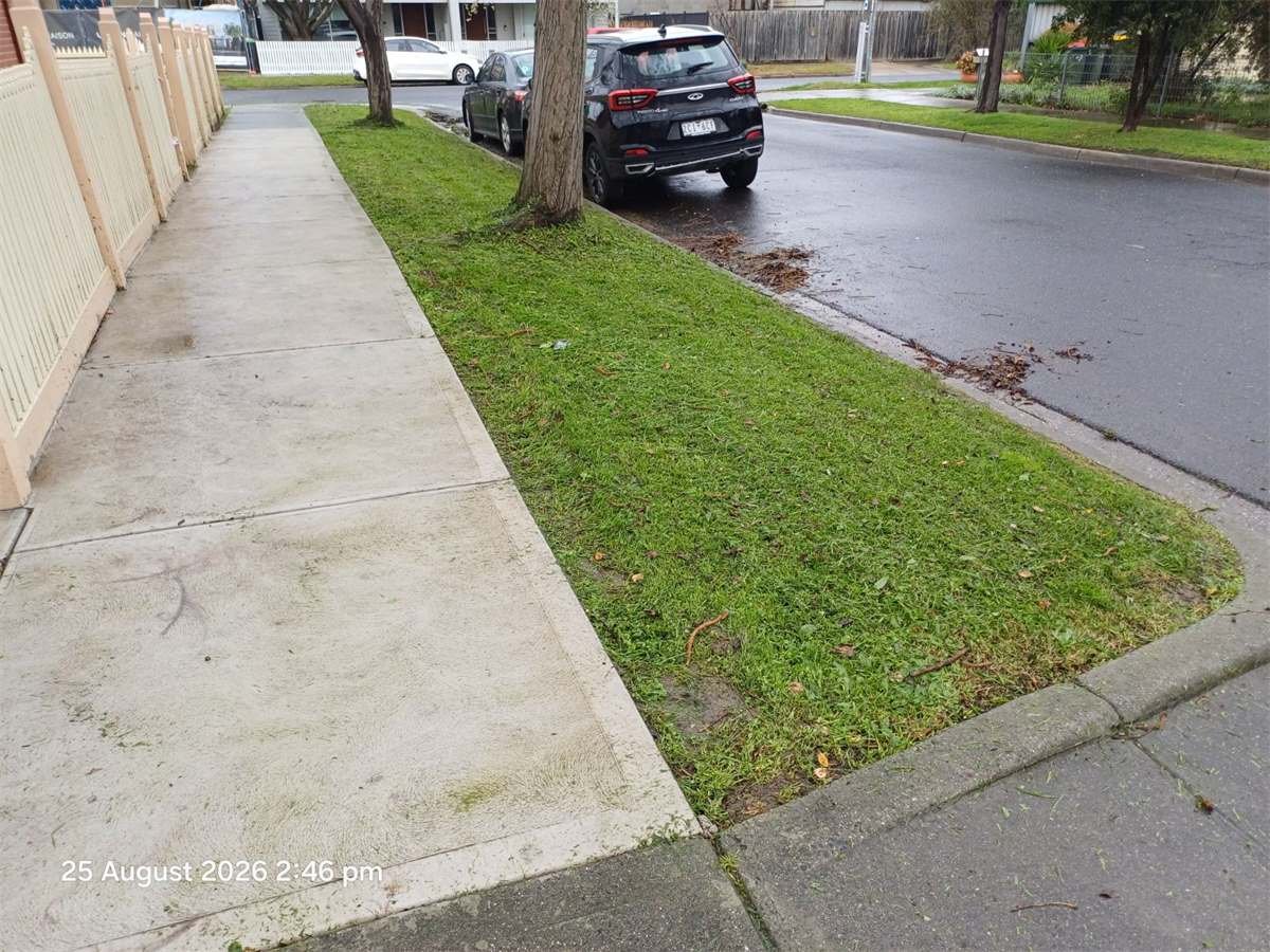 Lawn by Long John Mowing's Services