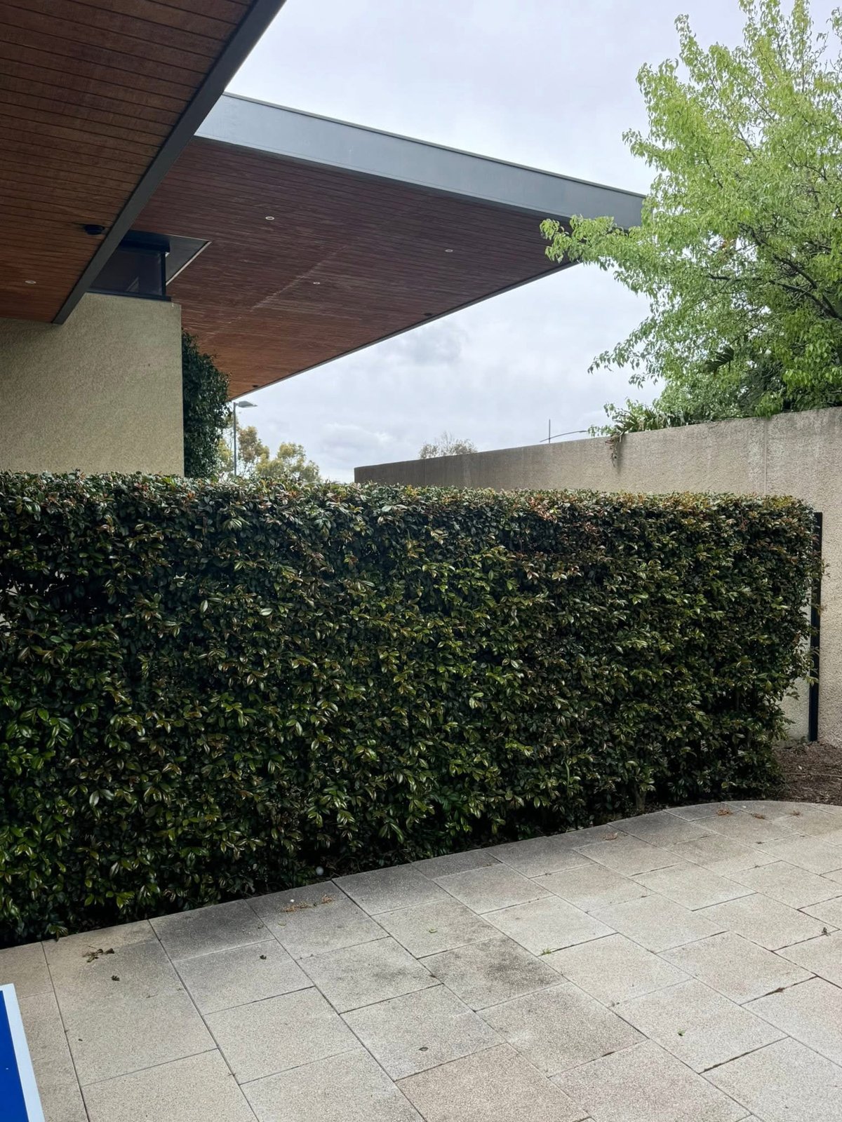 Lawn by Green Rise Group Aus Pty Ltd