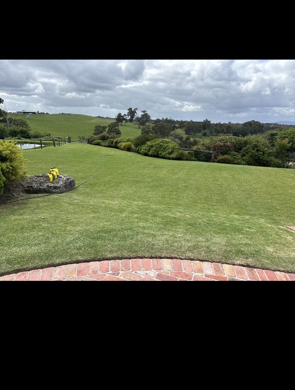 Lawn by Whittlesea Mowing Pty Ltd