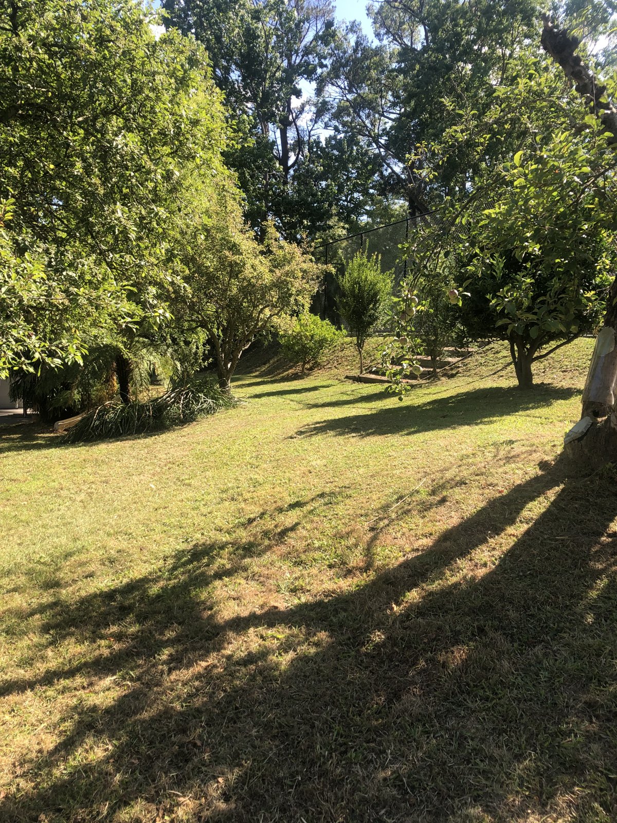 Sunny day mowing