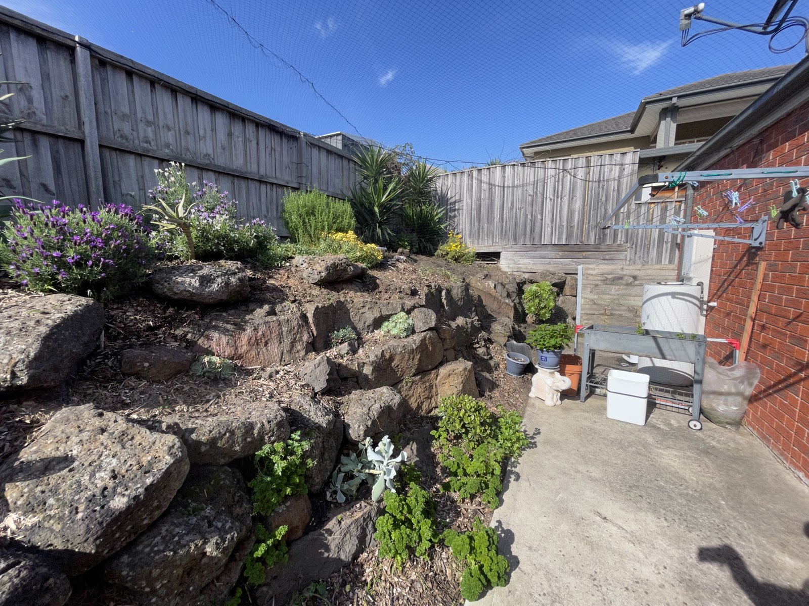 Lawn by Omnibid Lawns